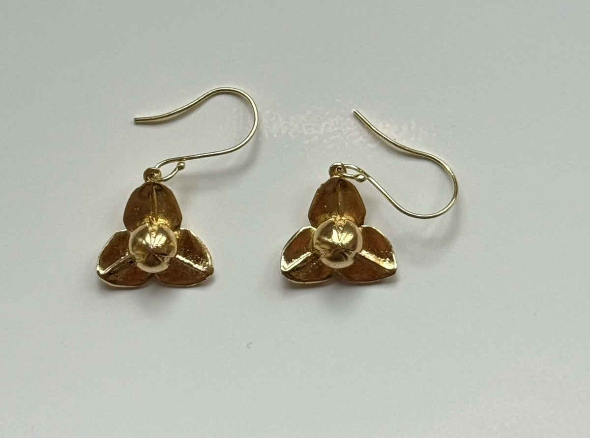Pka Rumdoul Dangle Earrings